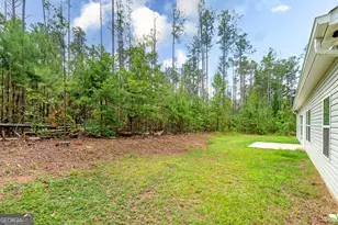 219 Hamilton Rd, Concord, GA 30206 - Photo 35