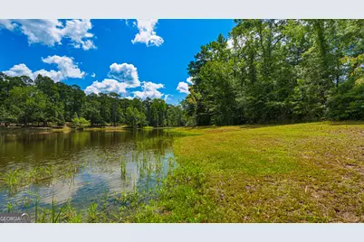 1202 Eddie Martin Road, Buena Vista, GA 31803 - Photo 87