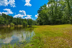 1202 Eddie Martin Rd, Buena Vista, GA 31803 - Photo 87