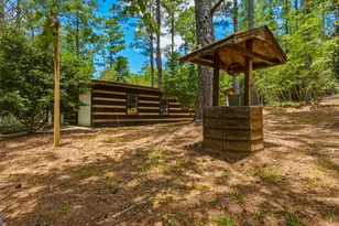 1202 Eddie Martin Rd, Buena Vista, GA 31803 - Photo 79