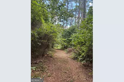 1202 Eddie Martin Road, Buena Vista, GA 31803 - Photo 103