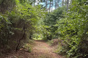 1202 Eddie Martin Rd, Buena Vista, GA 31803 - Photo 103