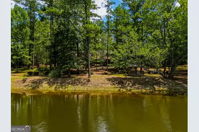 1202 Eddie Martin Road, Buena Vista, GA 31803 - Photo 25
