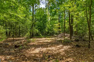 1202 Eddie Martin Rd, Buena Vista, GA 31803 - Photo 93