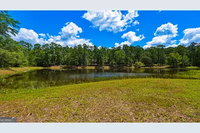 1202 Eddie Martin Road, Buena Vista, GA 31803 - Photo 85