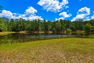 1202 Eddie Martin Rd, Buena Vista, GA 31803 - Photo 85