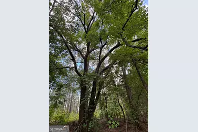 1202 Eddie Martin Road, Buena Vista, GA 31803 - Photo 101