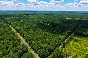 1202 Eddie Martin Rd, Buena Vista, GA 31803 - Photo 15