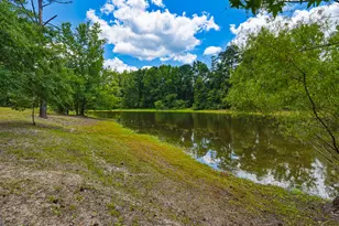 1202 Eddie Martin Rd, Buena Vista, GA 31803 - Photo 71