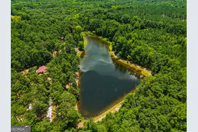 1202 Eddie Martin Road, Buena Vista, GA 31803 - Photo 3