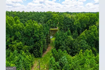 1202 Eddie Martin Road, Buena Vista, GA 31803 - Photo 75