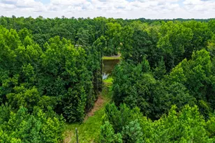 1202 Eddie Martin Rd, Buena Vista, GA 31803 - Photo 75