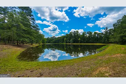 1202 Eddie Martin Road, Buena Vista, GA 31803 - Photo 89