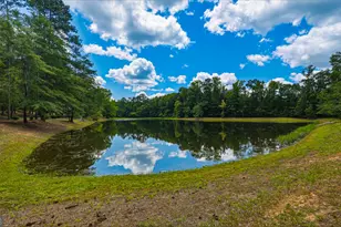 1202 Eddie Martin Rd, Buena Vista, GA 31803 - Photo 89