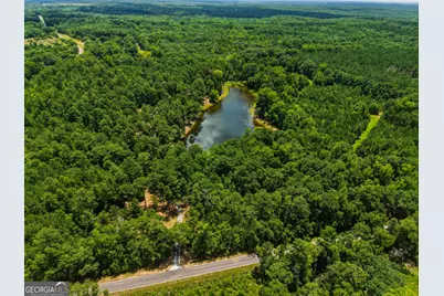 1202 Eddie Martin Road, Buena Vista, GA 31803 - Photo 21