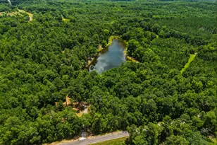 1202 Eddie Martin Rd, Buena Vista, GA 31803 - Photo 21