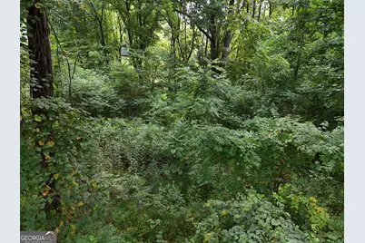 Lot 4 River Lake Estates, Blairsville, GA 30512 - Photo 11