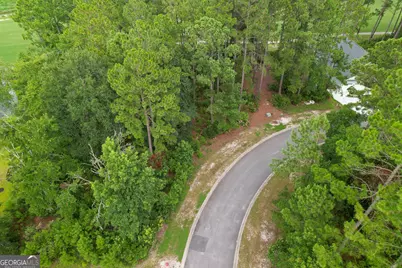 0 Lone Pine Court, Waverly, GA 31565 - Photo 5