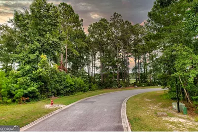 0 Lone Pine Court, Waverly, GA 31565 - Photo 3
