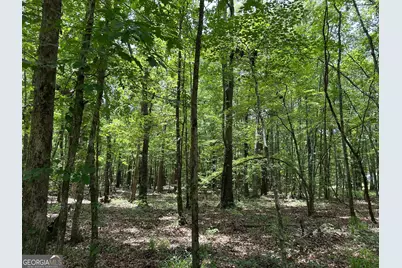 5657 Springfield Road, Sparta, GA 31087 - Photo 27