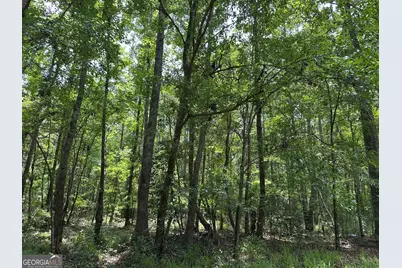 5657 Springfield Road, Sparta, GA 31087 - Photo 29
