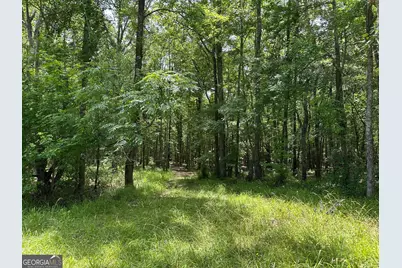 5657 Springfield Road, Sparta, GA 31087 - Photo 23