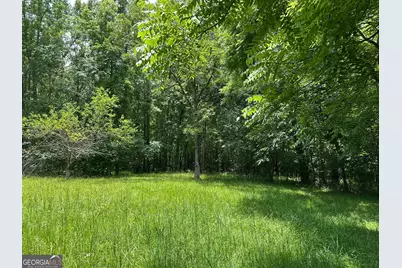 5657 Springfield Road, Sparta, GA 31087 - Photo 21