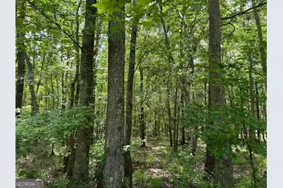 5657 Springfield Road, Sparta, GA 31087 - Photo 25