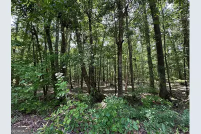 9.82 +/- Acres Springfield Road, Sparta, GA 31087 - Photo 5