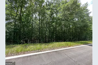 9.82 +/- Acres Springfield Road, Sparta, GA 31087 - Photo 9
