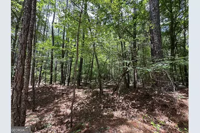 9.82 +/- Acres Springfield Road, Sparta, GA 31087 - Photo 13