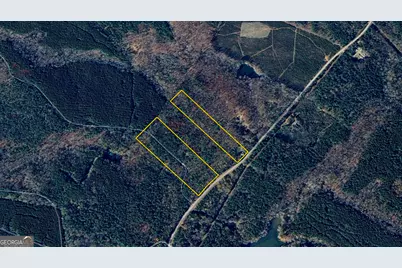 9.82 +/- Acres Springfield Road, Sparta, GA 31087 - Photo 29