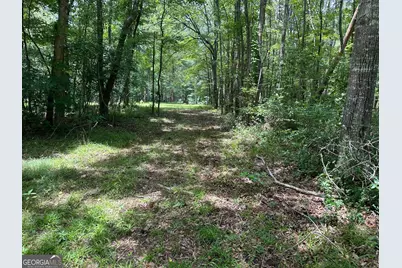9.82 +/- Acres Springfield Road, Sparta, GA 31087 - Photo 15