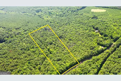 9.82 +/- Acres Springfield Road, Sparta, GA 31087 - Photo 3