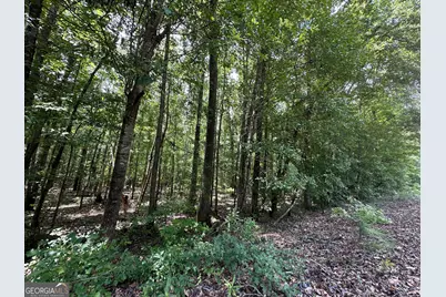 9.82 +/- Acres Springfield Road, Sparta, GA 31087 - Photo 7
