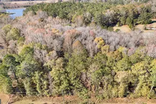 2540 Hannahs Mill Rd & 665 Atwater Rd, Thomaston, GA 30286 - Photo 55