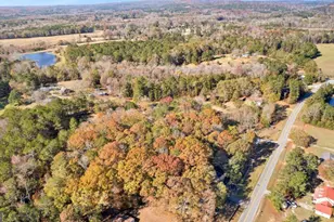 2540 Hannahs Mill Rd & 665 Atwater Rd, Thomaston, GA 30286 - Photo 69