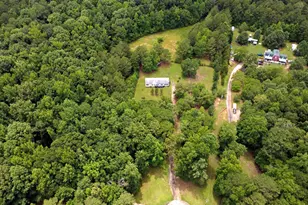 141 Gamecock Way, Barnesville, GA 30204 - Photo 33
