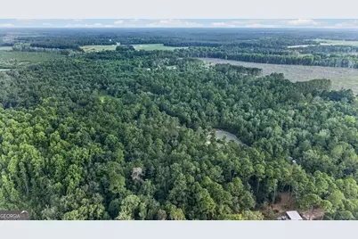 8120 Black Creek Church Road, Brooklet, GA 30415 - Photo 95