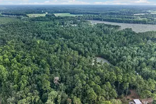 8120 Black Creek Church Rd, Brooklet, GA 30415 - Photo 95