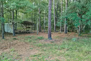 8120 Black Creek Church Rd, Brooklet, GA 30415 - Photo 103