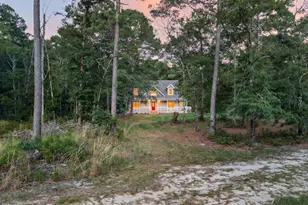 8120 Black Creek Church Rd, Brooklet, GA 30415 - Photo 89