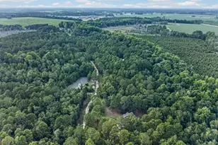 8120 Black Creek Church Rd, Brooklet, GA 30415 - Photo 97