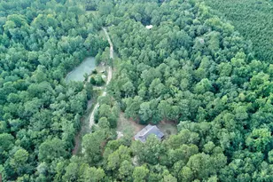 8120 Black Creek Church Rd, Brooklet, GA 30415 - Photo 95