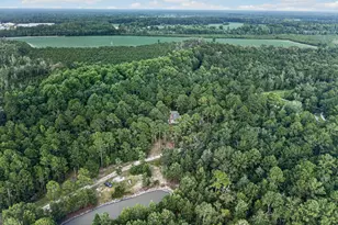 8120 Black Creek Church Rd, Brooklet, GA 30415 - Photo 93