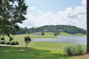 705 Chalk Ct, Peachtree City, GA 30269 - Photo 151