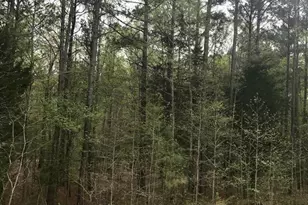 114 Brushy Creek Ln, Jackson, GA 30233 - Photo 31