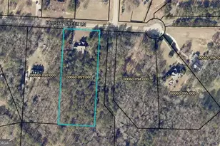114 Brushy Creek Ln, Jackson, GA 30233 - Photo 3