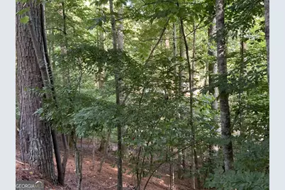 176 14th Street, Ellijay, GA 30540 - Photo 13