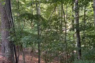 176 14th St, Ellijay, GA 30540 - Photo 13